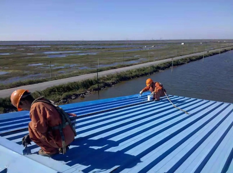 东明彩钢瓦屋面防腐翻新